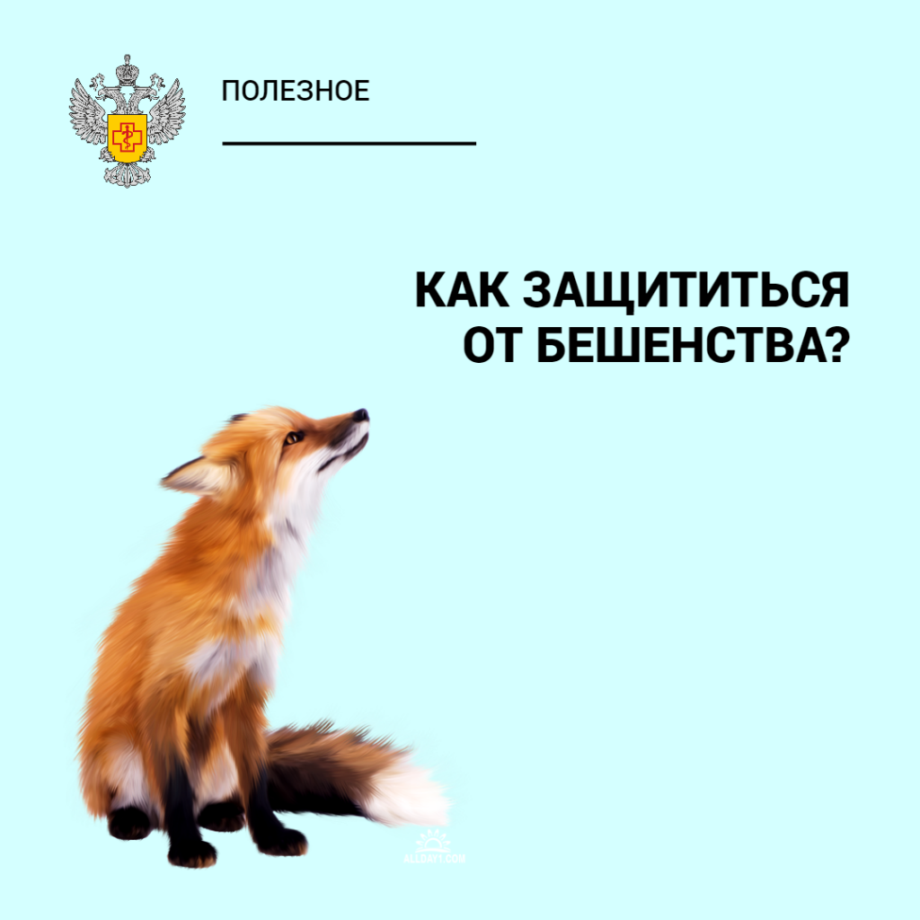 Как защититься от бешенства?.