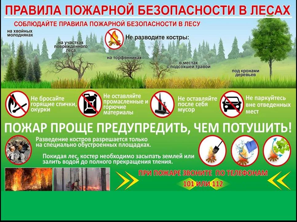 Беседа по пожарной безопасности.