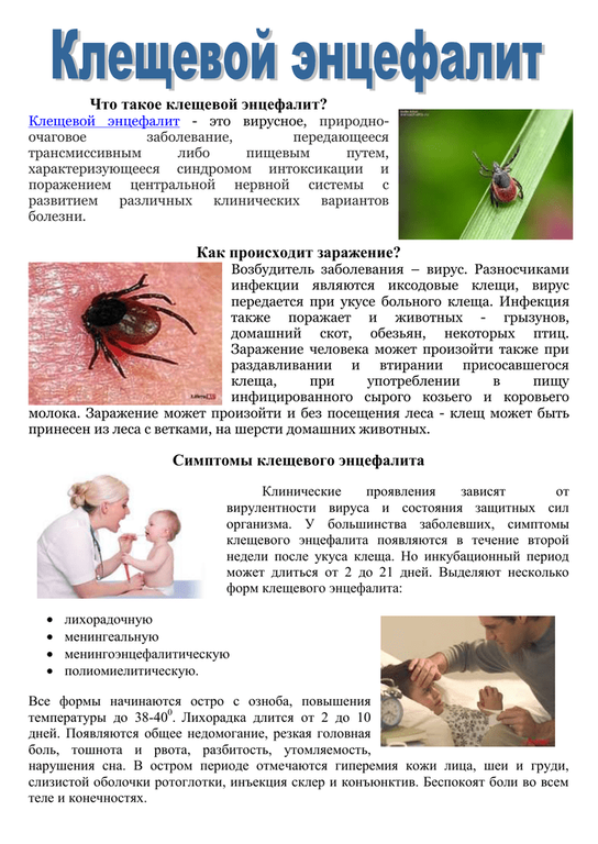Профилактика клещевого энцефалита.